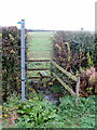 Footpath to Common Farm