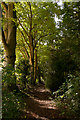 Footpath from Stockbridge Road to Woodman Lane