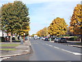 Middleton Park Avenue - viewed from Middleton Park Grove