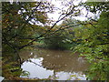 River Wansbeck, Morpeth