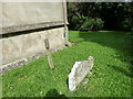 ST6805 : Holy Rood, Buckland Newton: churchyard (iv) by Basher Eyre