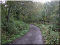 Track towards Wood House (bridleway)