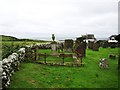 Kirkandrews Churchyard