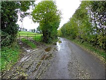 H4969 : Camowen Road, Donaghanie by Kenneth  Allen