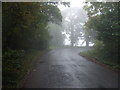 NZ0988 : Bend on a misty road by JThomas