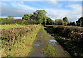 Track approaching Littlethorpe