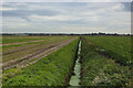 A drainage ditch across Scarisbrick Moss