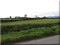 Pasture land south of Corcreaghan Road