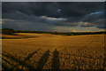 TQ4363 : Autumn light and shadows, south of Shire Lane, Farnborough by Christopher Hilton