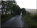 NY9291 : National Cycle Route 68 towards Raylees by JThomas
