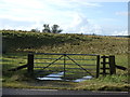 NY9885 : Field entrance off the A696 by JThomas