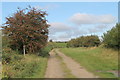 Long Hollow towards the A52