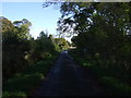 NZ0288 : Lane heading east by JThomas