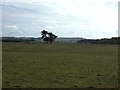 Farmland near Scot