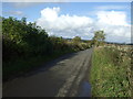 Lane heading north near Thornton House