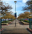 Tree-lined entrance footpath to Friends Life offices, Stoke Gifford