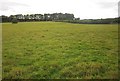 Field near Cold Harbour Farm