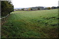 Field above Glyn Brook