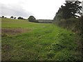 SU4250 : Field by Egbury Road by Derek Harper