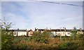 Houses on Dagmar Road, from the train