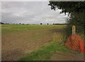 Field near Middle Wyke