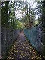 Footpath alongside railway line