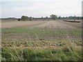 View towards Lockington