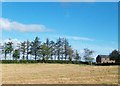 Hay field east of the Ballynahinch Road