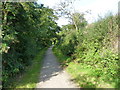 Portreath Tramroad, looking west