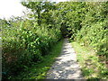 Portreath Tramroad, looking west