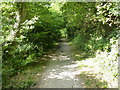 Portreath Tramroad, looking west