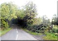 Lougherne Road near Annahilt