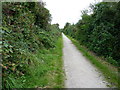 The Portreath Tramroad near Mawla