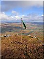 G9895 : Flag, Gaugin Mountain by Richard Webb