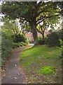 Footpath in Swallowfields, Andover