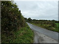 Eastfield Lane on the east side of East Harting