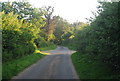 Rectory Lane heading north