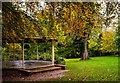 Stratford Park bandstand in Autumn