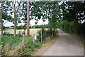 Farm track to Bolt Hall Farm