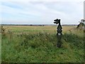 TF1595 : National Cycle Network milepost on the Lincolnshire Wolds by Oliver Dixon