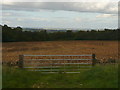 Arable land at the A424 junction