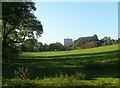 View across field at Dowley Gap