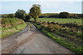 Road opposite Shepherds Cottage