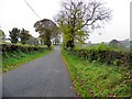 H8123 : Road at Killycracken by Kenneth  Allen