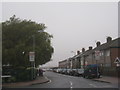Macaulay Street on a grey day
