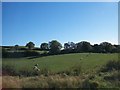 Undulating land east of  Killyleagh Road