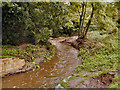 Unnamed Stream through Acomb