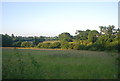 Farmland south of Watton Rd