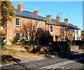 Wellington Terrace houses near Newnham-on-Severn