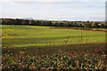 Arable land near Usk